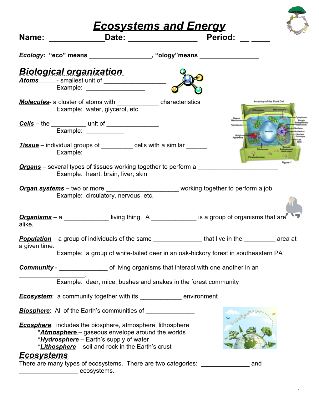 Ecosystems and Energy