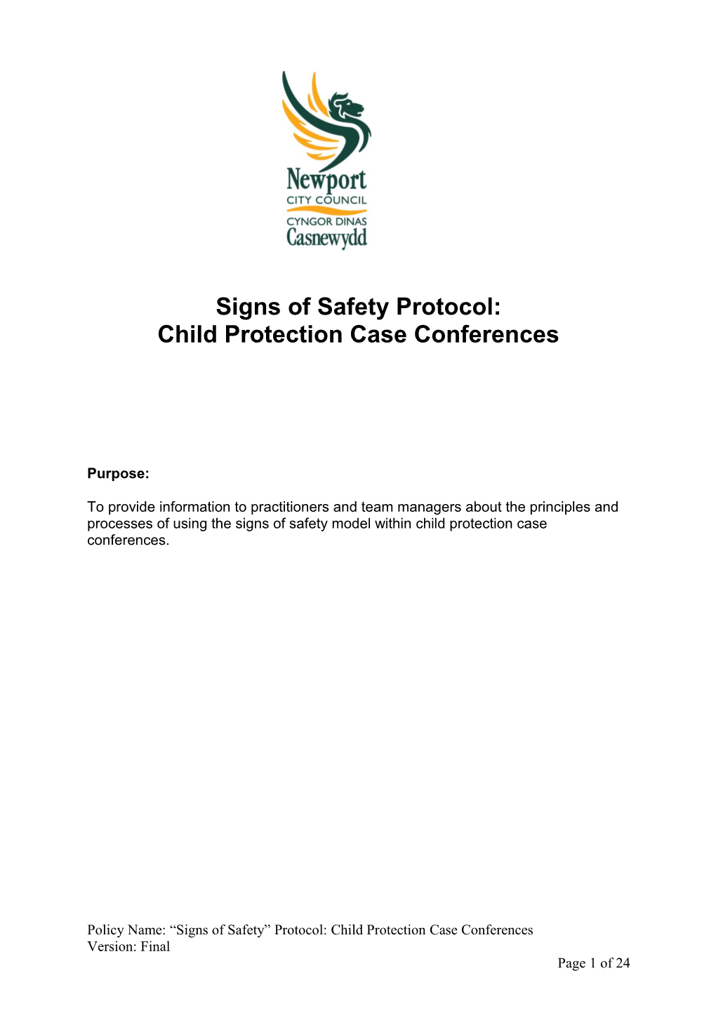 Child Protection Case Conferences