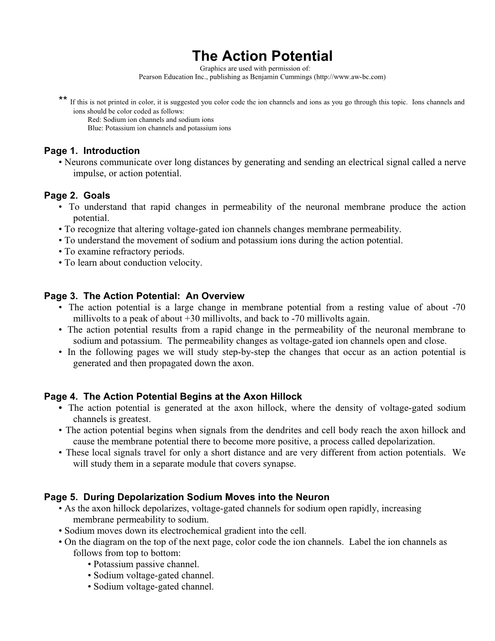 The Action Potential