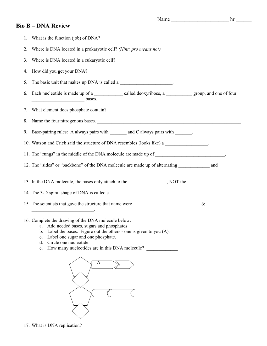 Bio B DNA Review