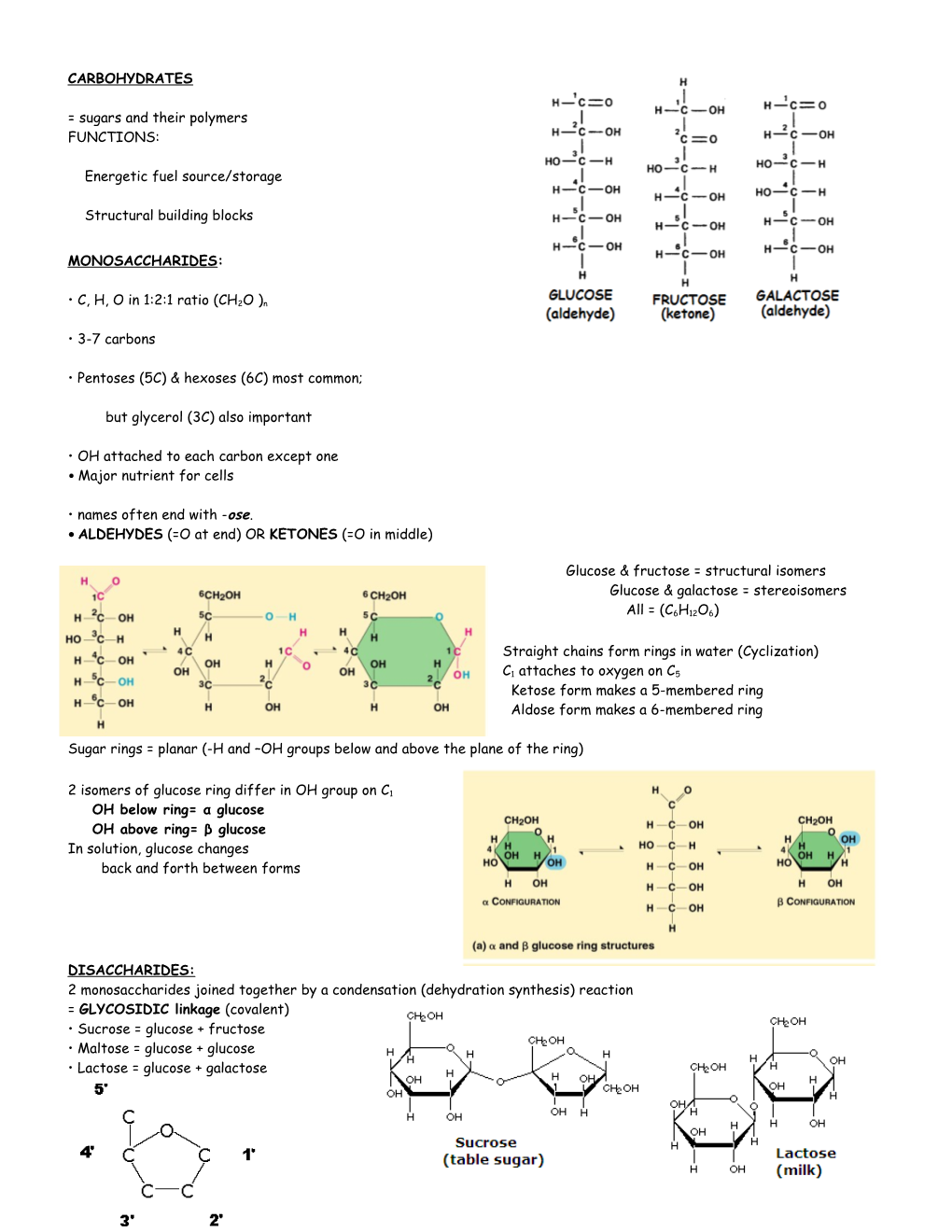 ALDEHYDES (=O at End) OR KETONES (=O in Middle)