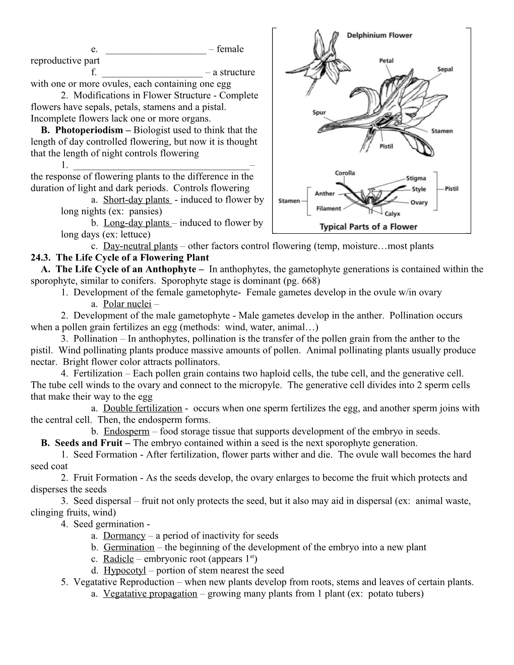 Ch 24 Reproduction in Plants