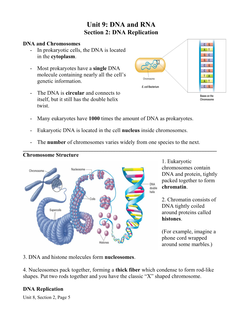 Unit 9: DNA and RNA