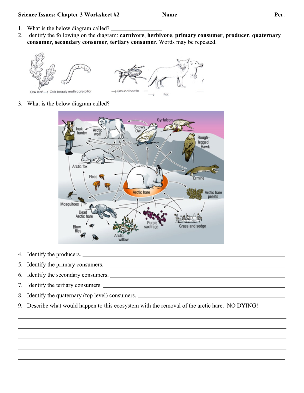 Science Issues: Chapter 3 Worksheet #2