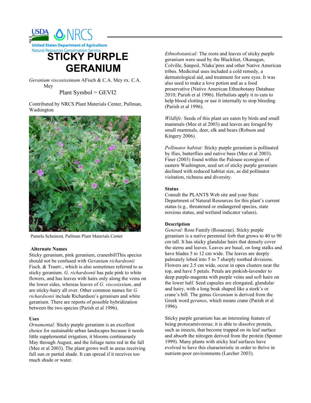 Sticky Purple Geranium Geranium Viscosissimum Plant Guide