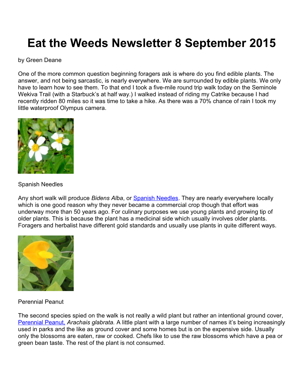 Eat the Weeds Newsletter 8 September 2015