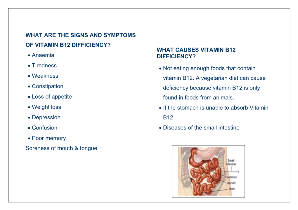 What Is Vitamin B12