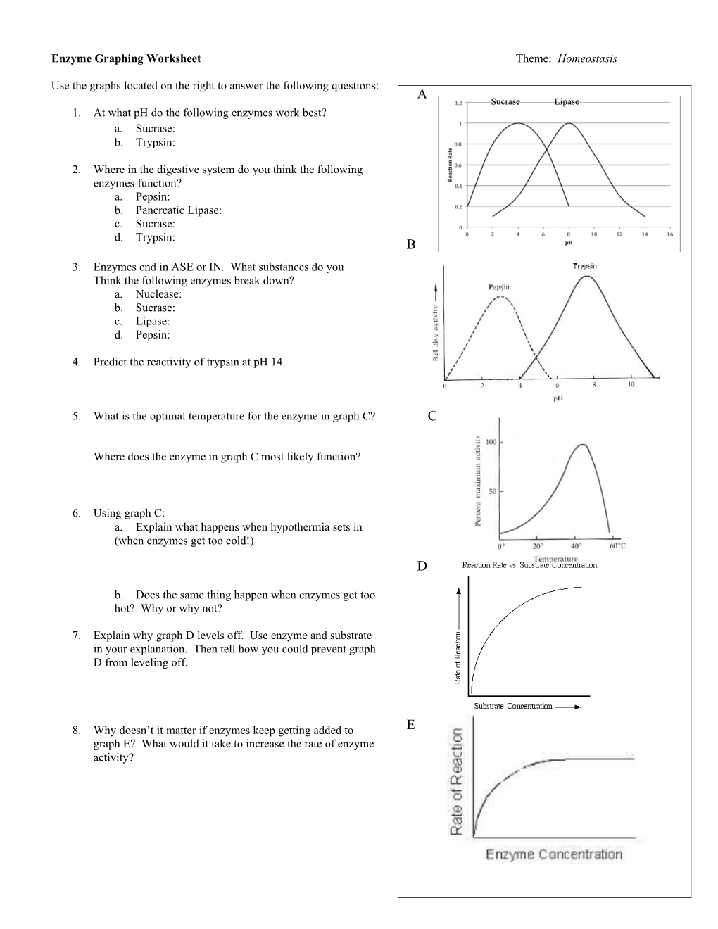Enzyme Graphing Worksheet