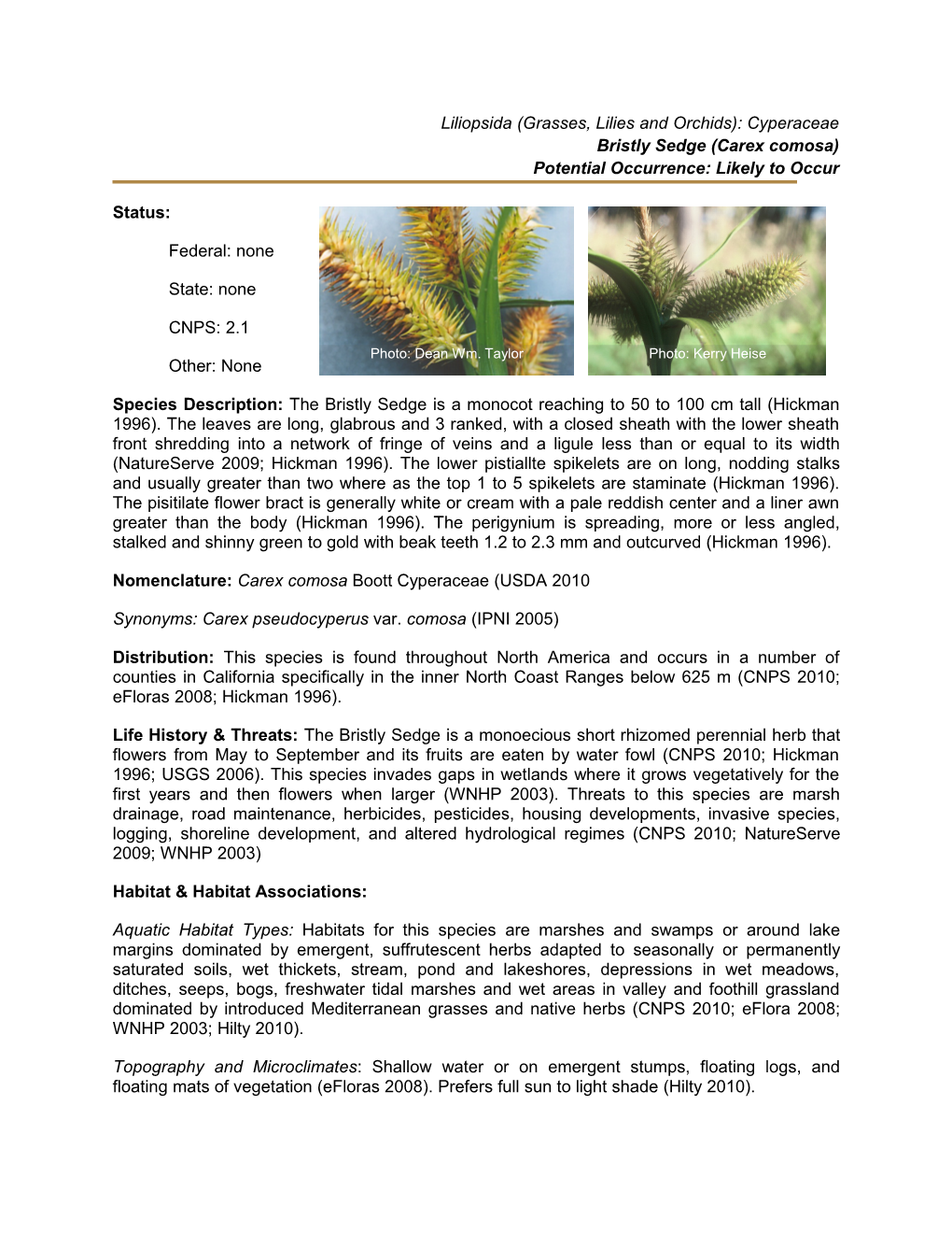 Liliopsida (Grasses, Lilies and Orchids): Cyperaceae