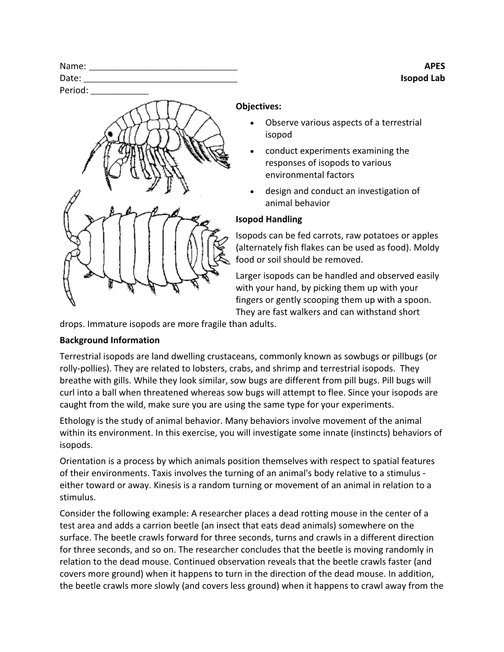 Observe Various Aspects of a Terrestrial Isopod s1