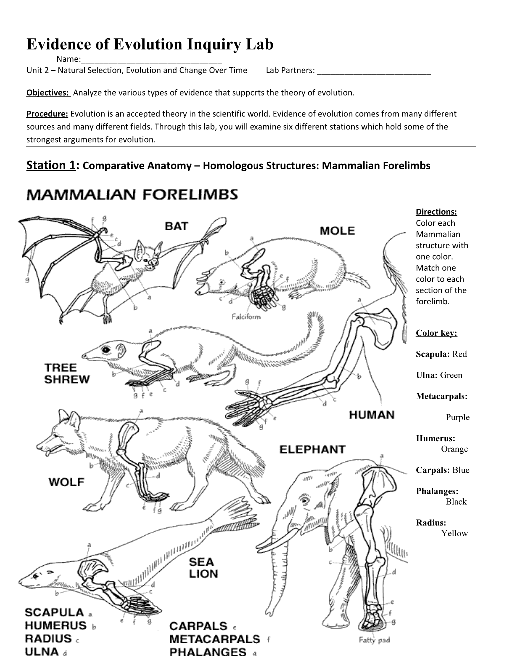 Objectives: Analyze the Various Types of Evidence That Supports the Theory of Evolution