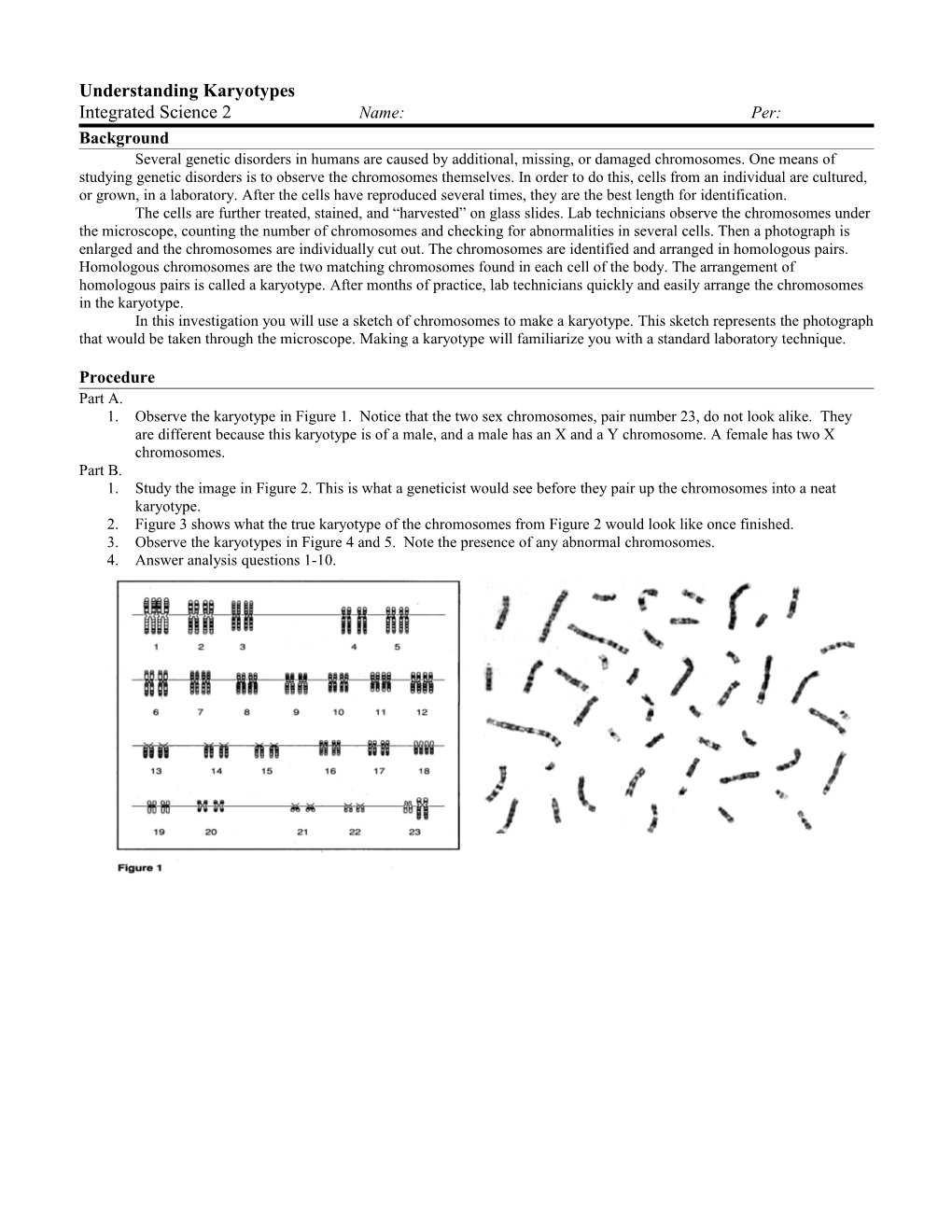 Understanding Karyotypes