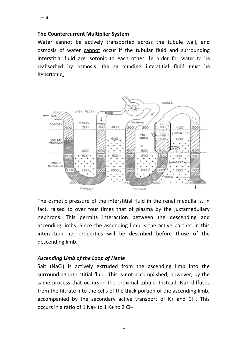 The Countercurrent Multiplier System