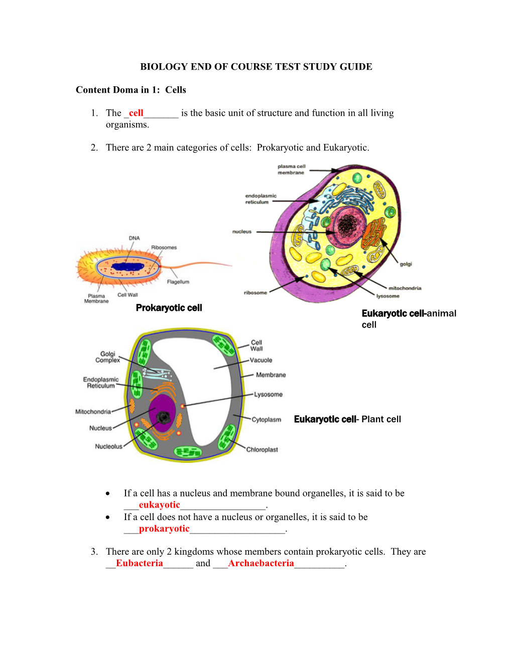 Biology End Of Course Test Study Guide