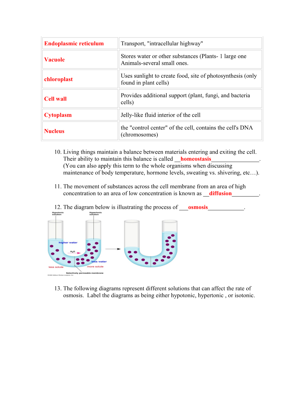 Biology End Of Course Test Study Guide