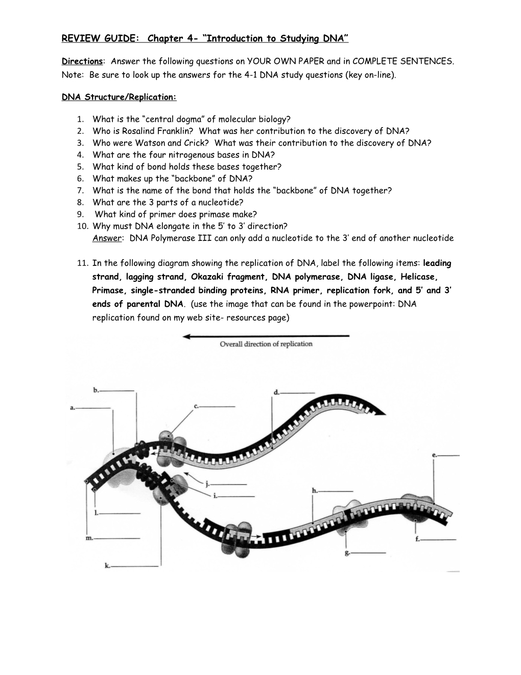 REVIEW GUIDE: Chapter 4- Introduction to Studying DNA