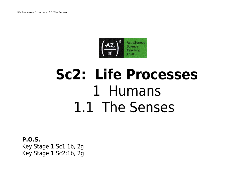 Life Processes 1 Humans 1.1 the Senses