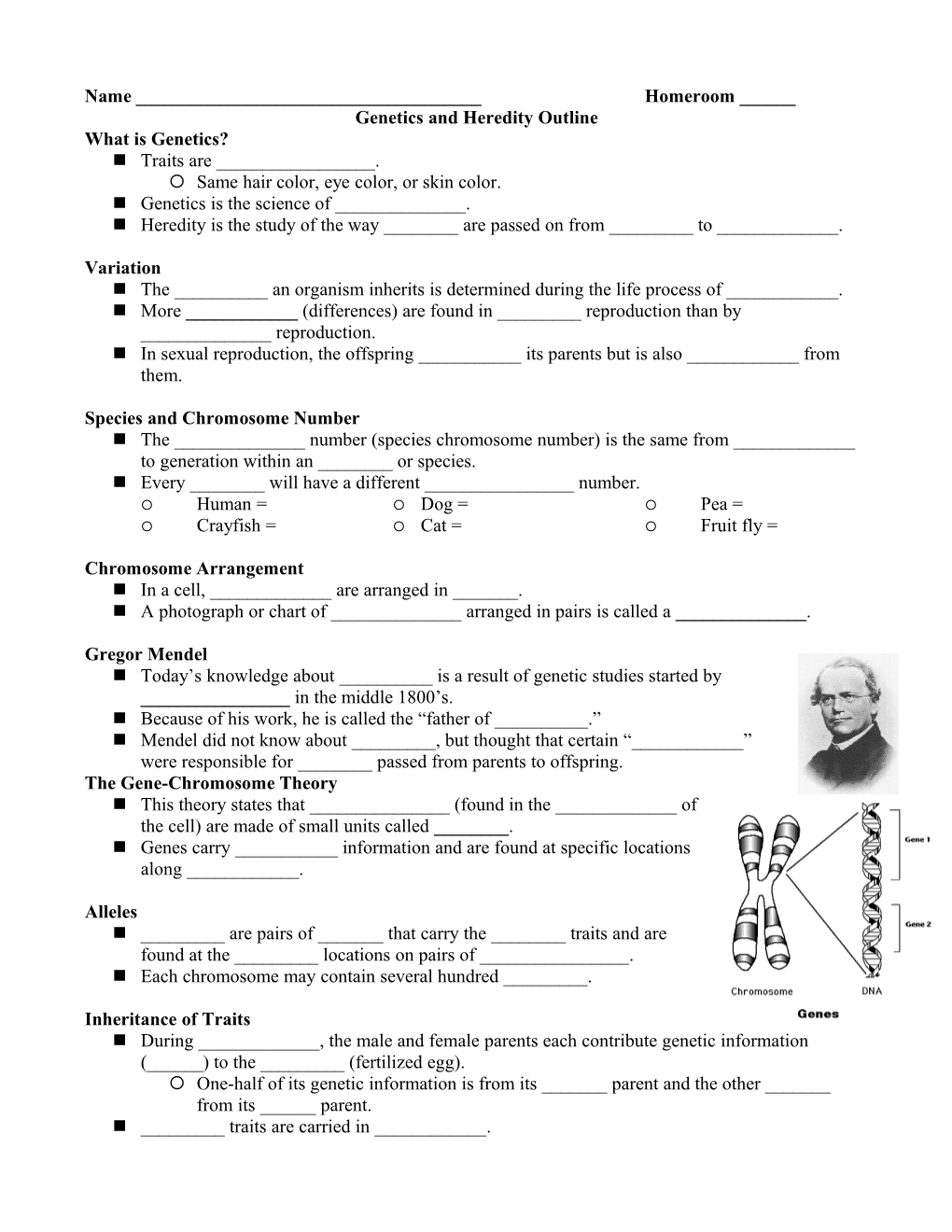 Genetics and Heredity Outline