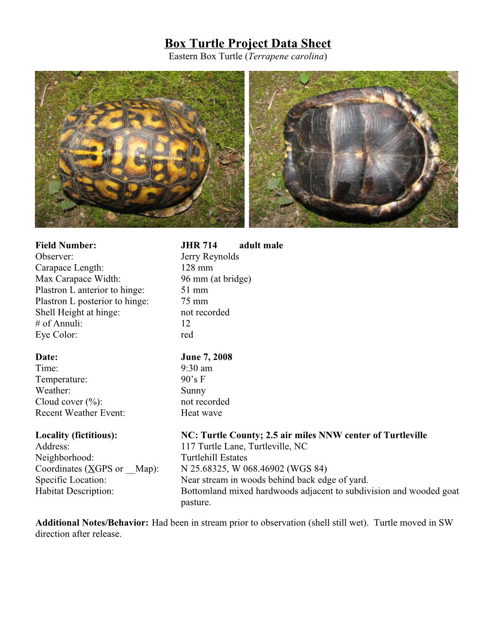 Box Turtle Project Data Sheet