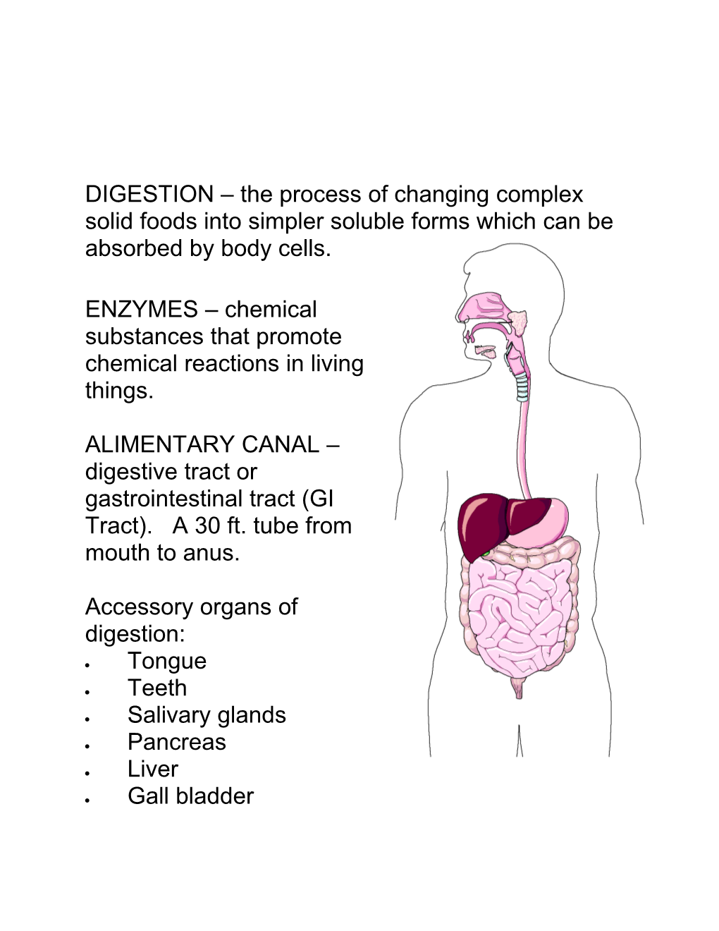 ENZYMES Chemical Substances That Promote Chemical Reactions in Living Things