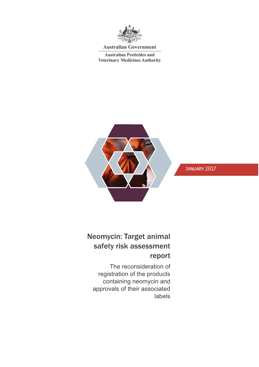 Neomycin: Target Animal Safety Risk Assessment Report