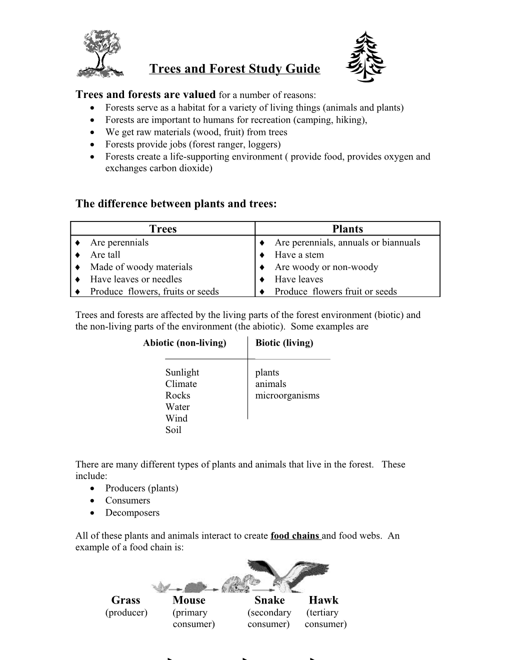 Trees and Forest Study Guide