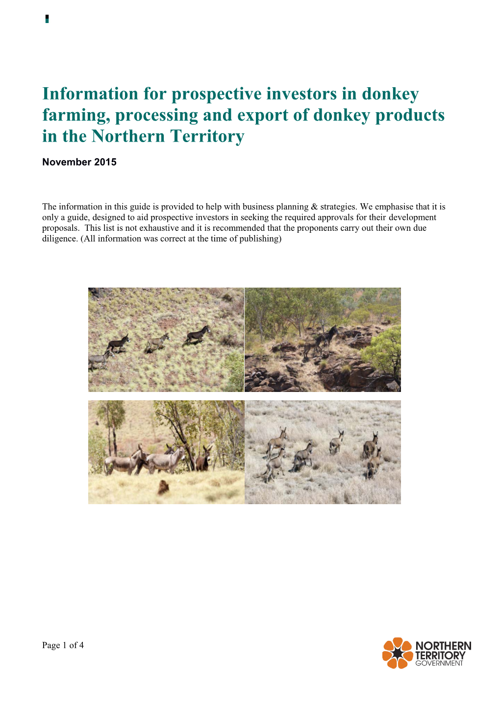 Donkey Investor Information Bulletin