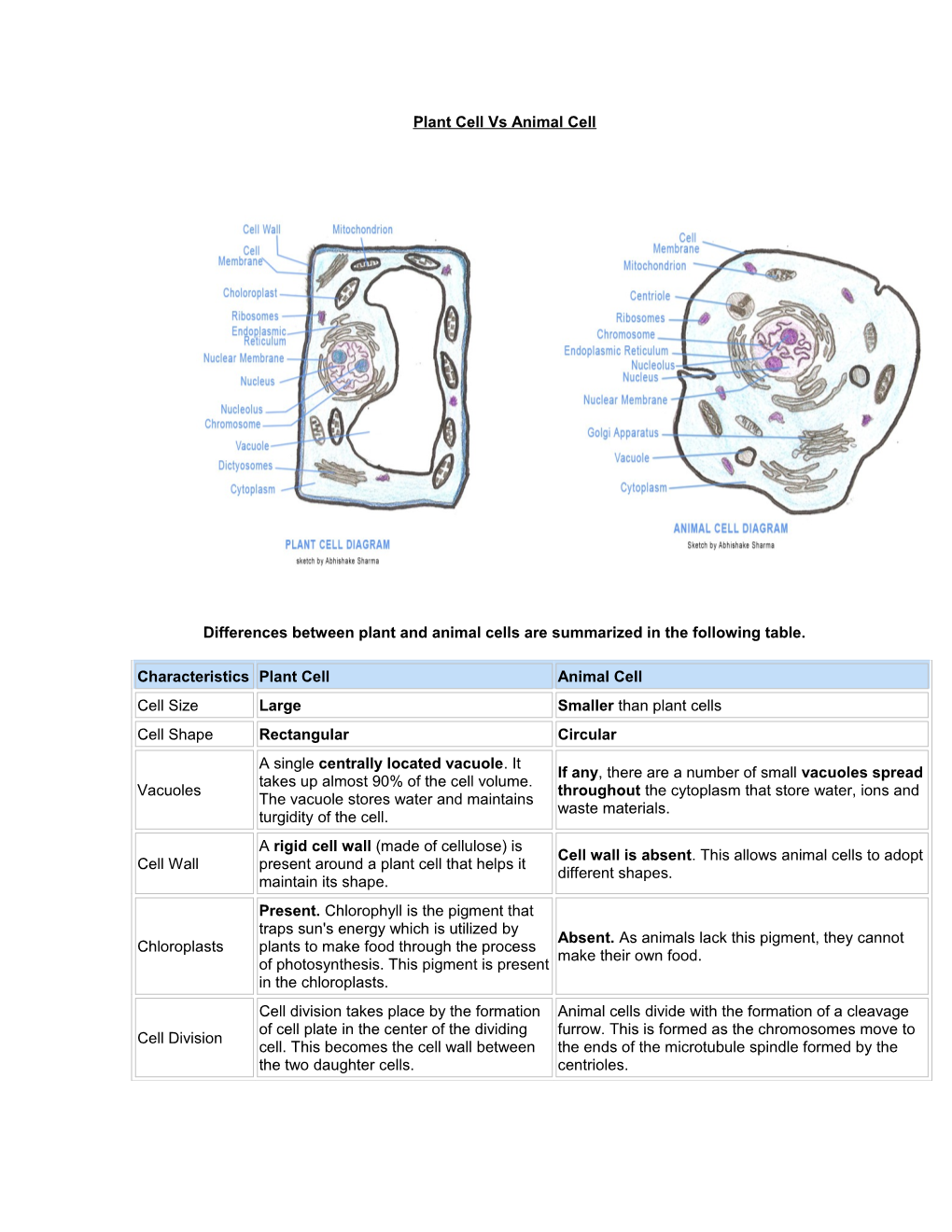 Plant Cell Vs Animal Cell