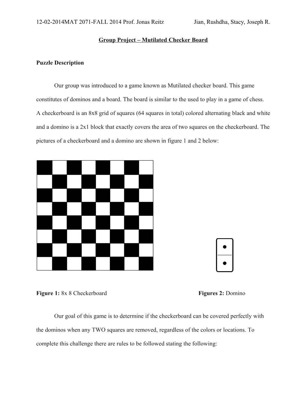 Group Project Mutilated Checker Board