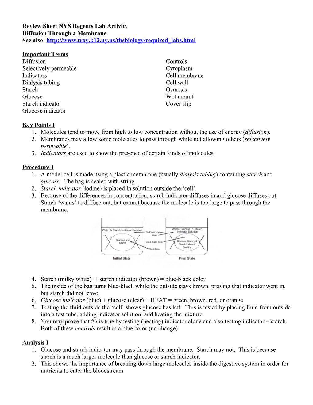 Review Sheet NYS Regents Lab Activity