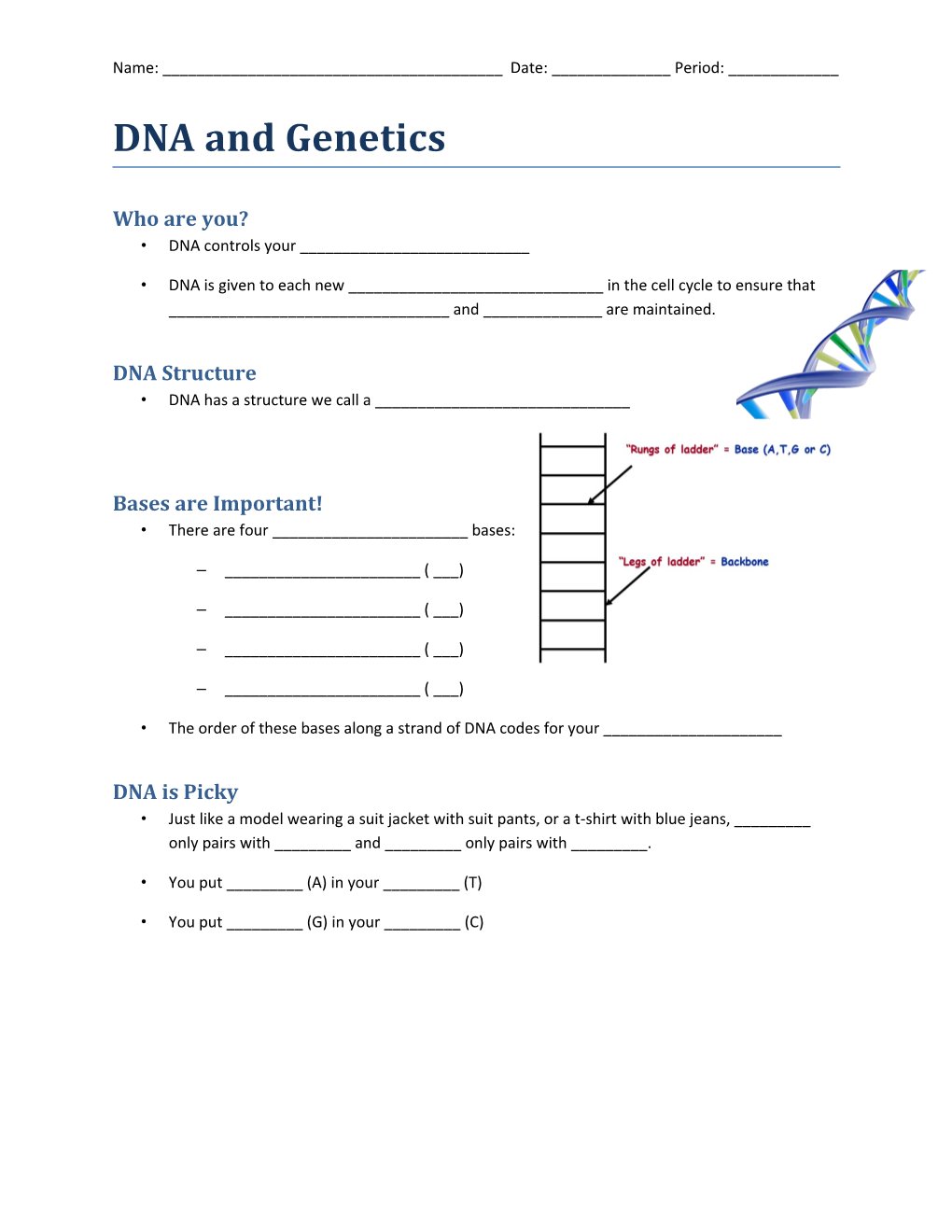 DNA and Genetics