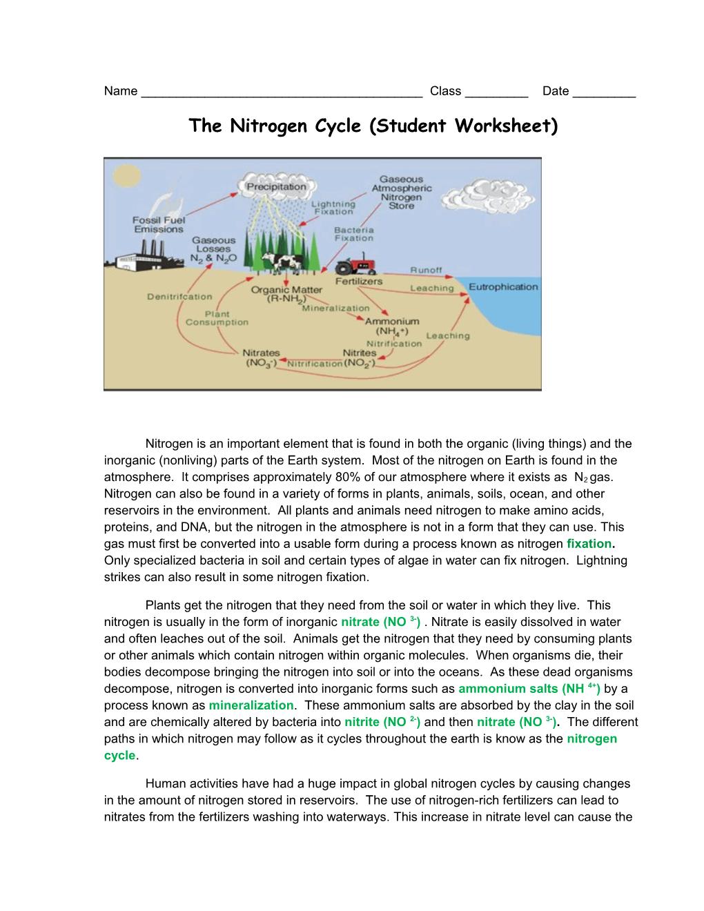 The Nitrogren Cycle (Student Worksheet)