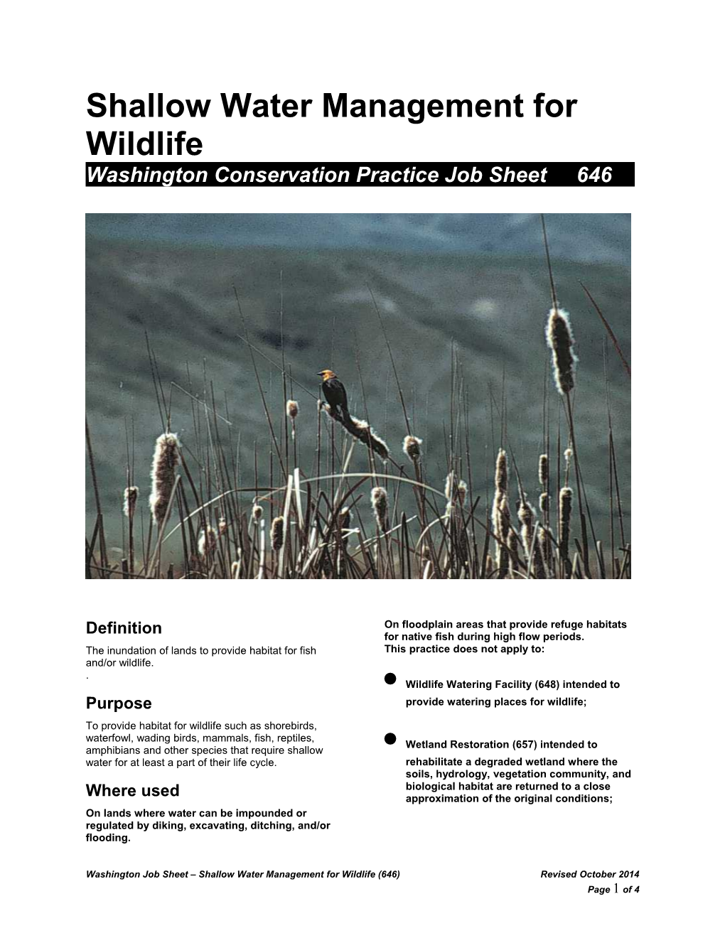 Shallow Water Management for Wildlife s1