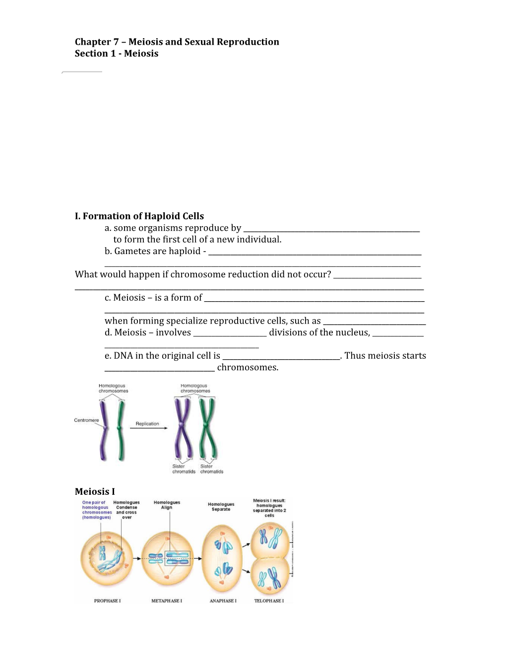 Chapter 7 Meiosis and Sexual Reproduction