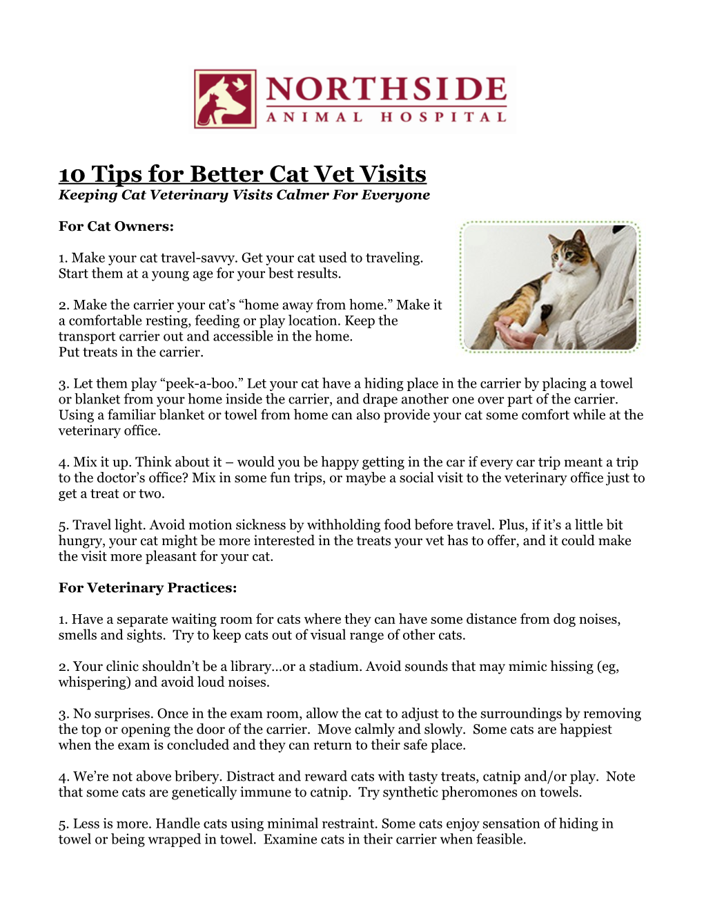 Top Ten Tips for Calming Cats