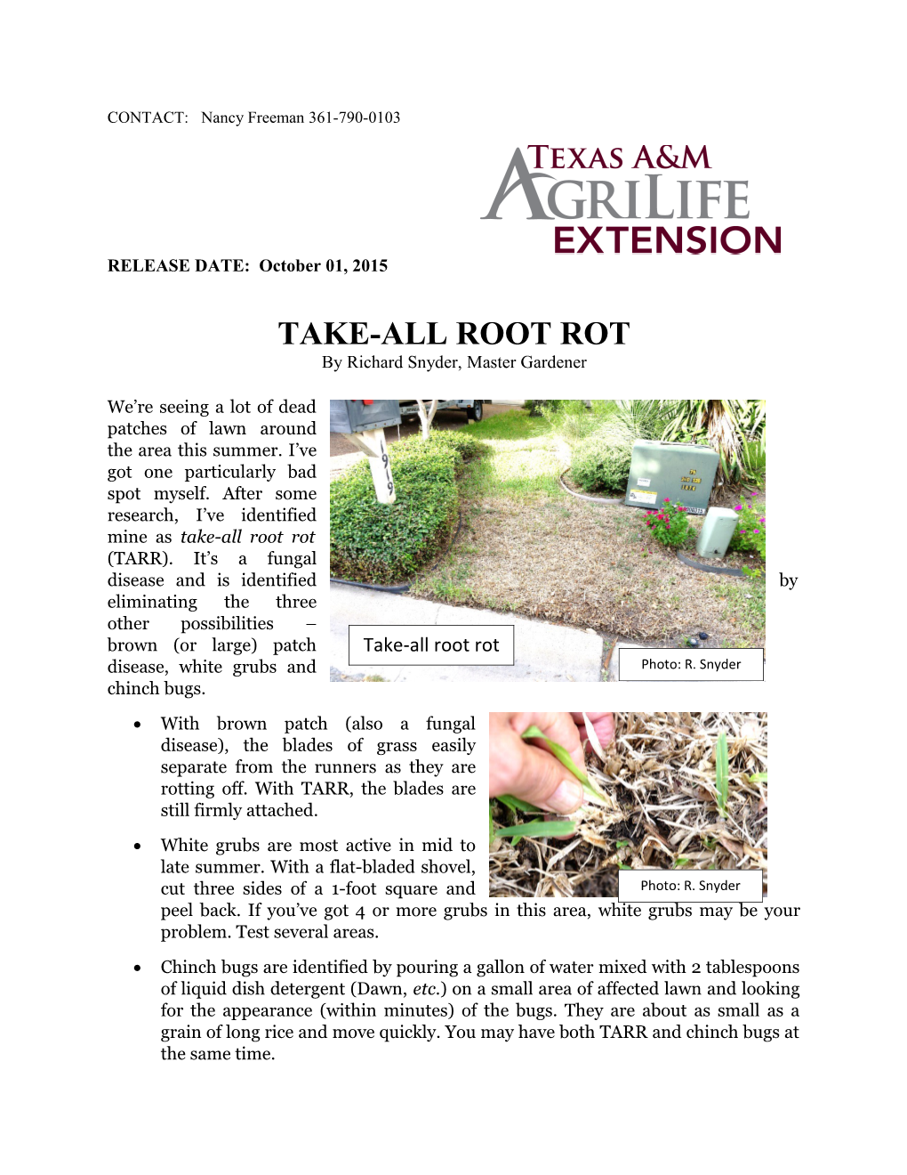 Take-All Root Rot