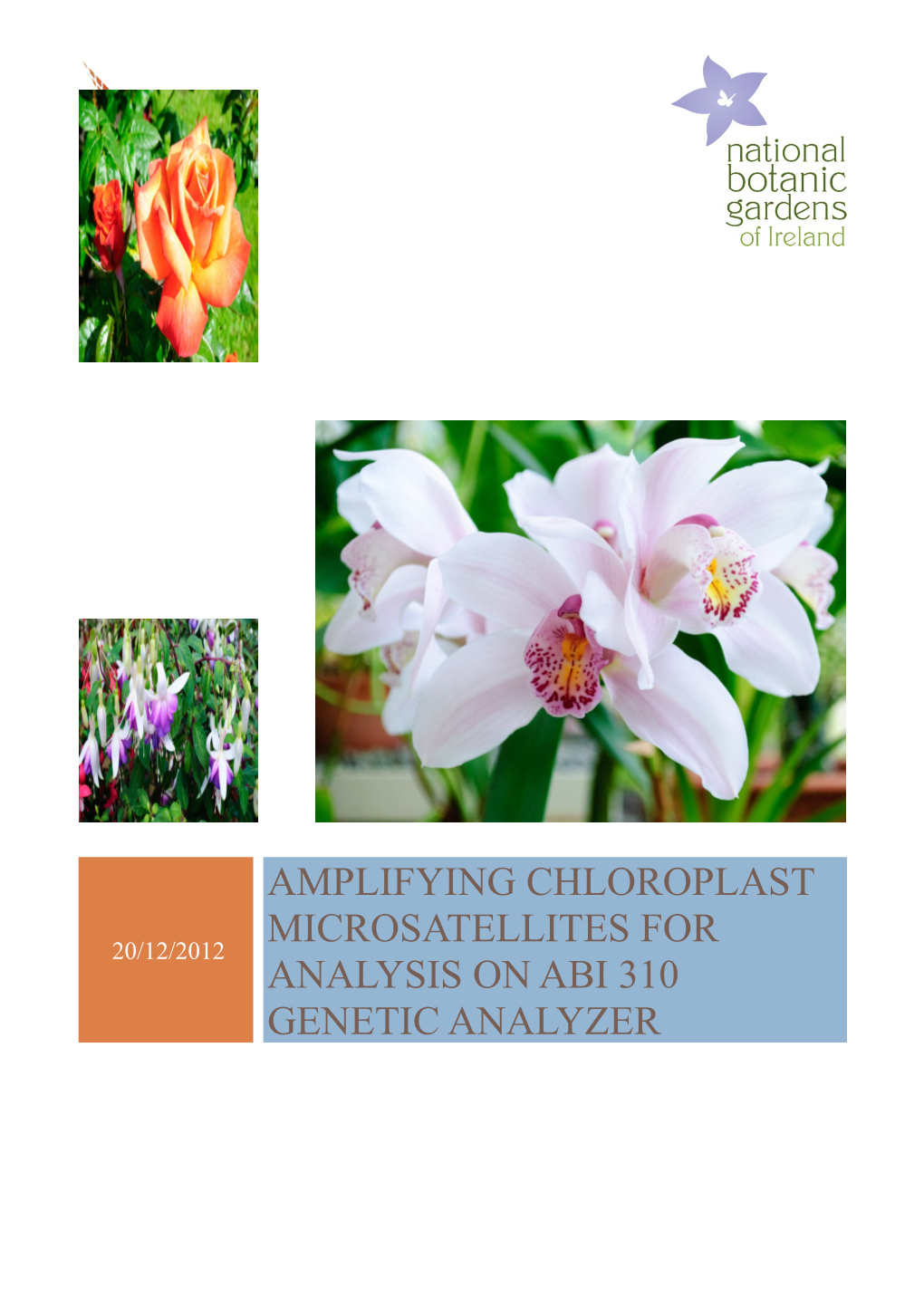 Amplifying Chloroplast Microsatellites for Analysis on Abi 310 Genetic Analyzer