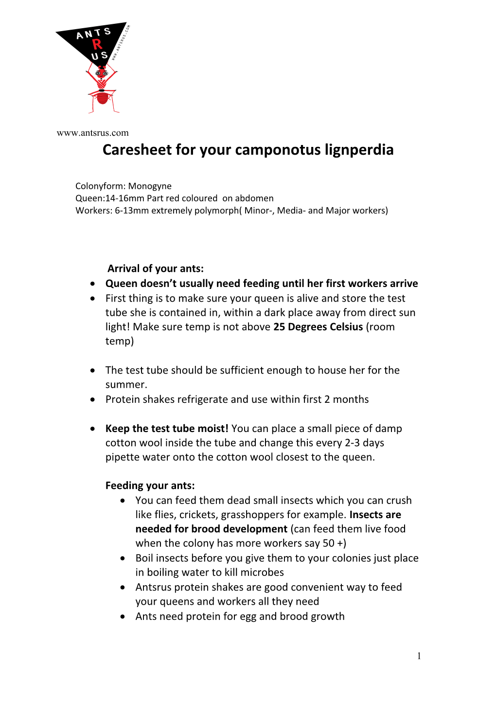 Caresheet for Your Camponotus Lignperdia