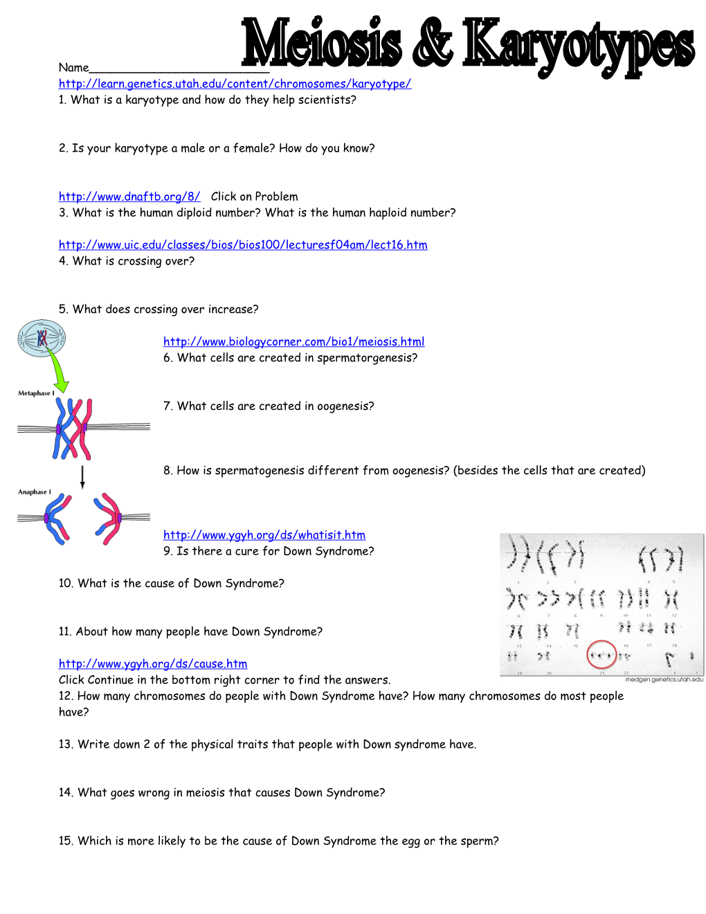 1. What Is a Karyotype and How Do They Help Scientists?