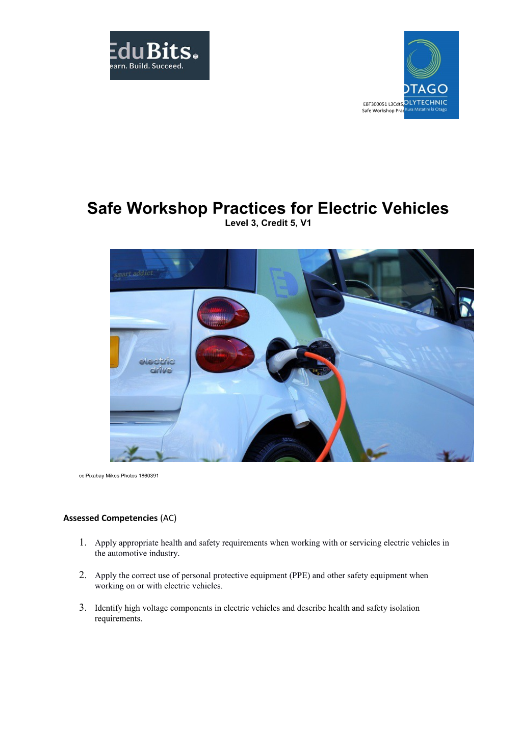 Safe Workshop Practices for Electric Vehicles