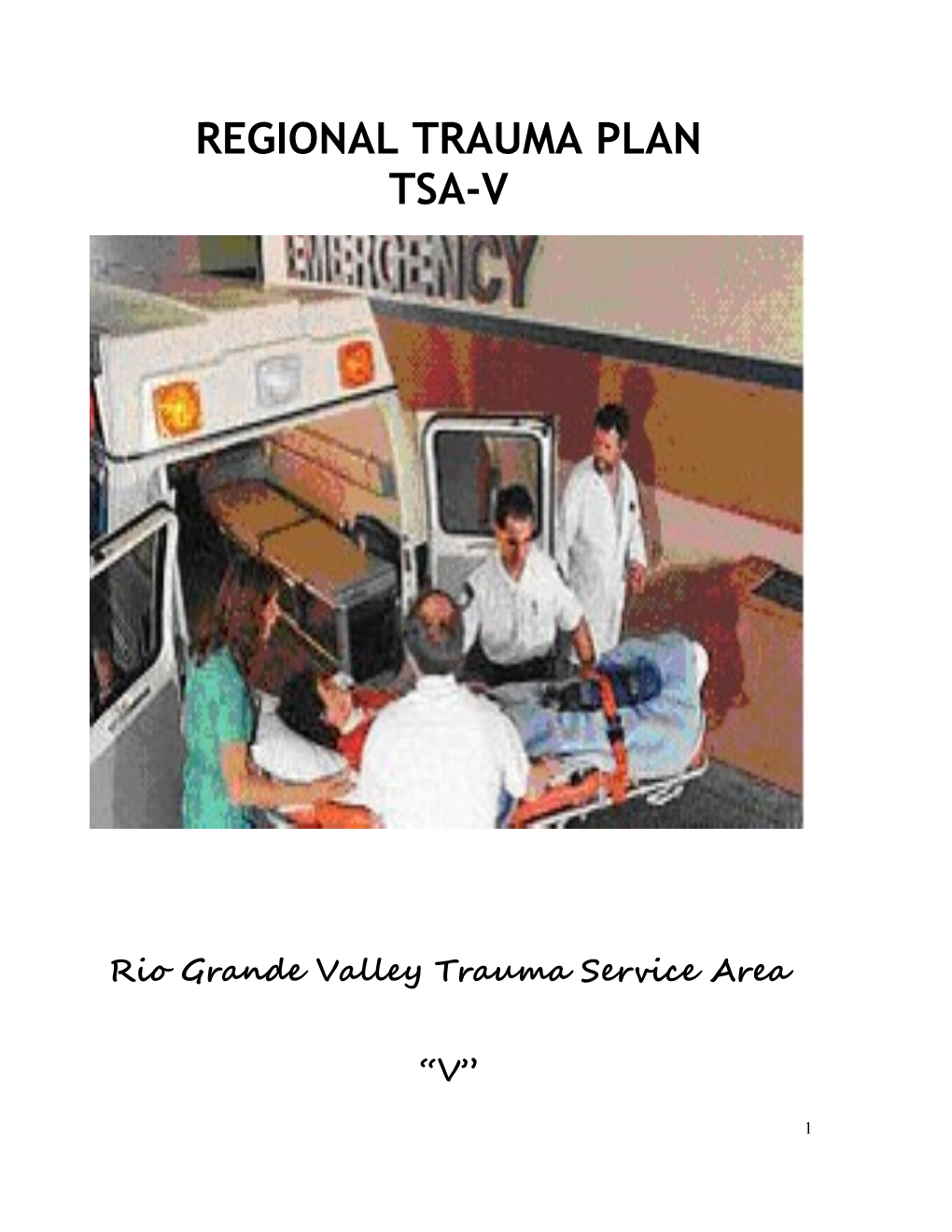 Regional Trauma Plan s1