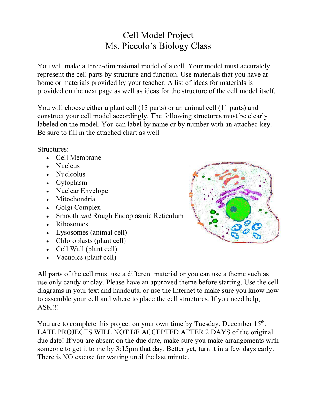 Cell Model Project