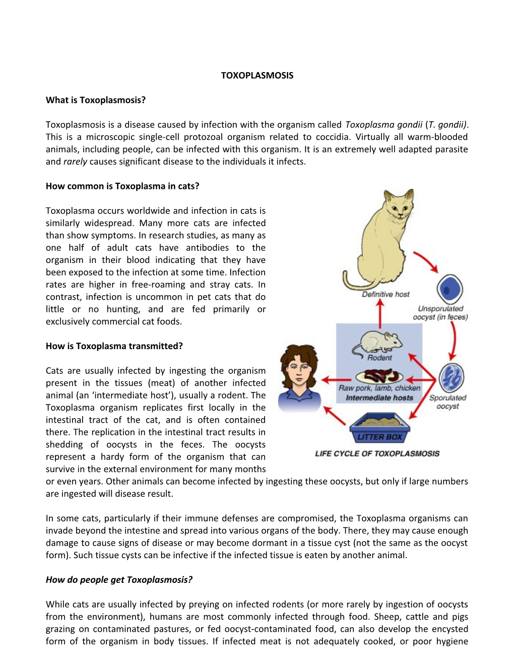 What Is Toxoplasmosis?