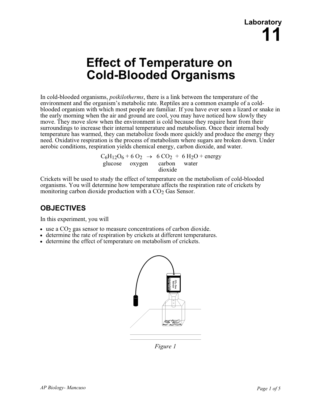 Effect of Temperature On