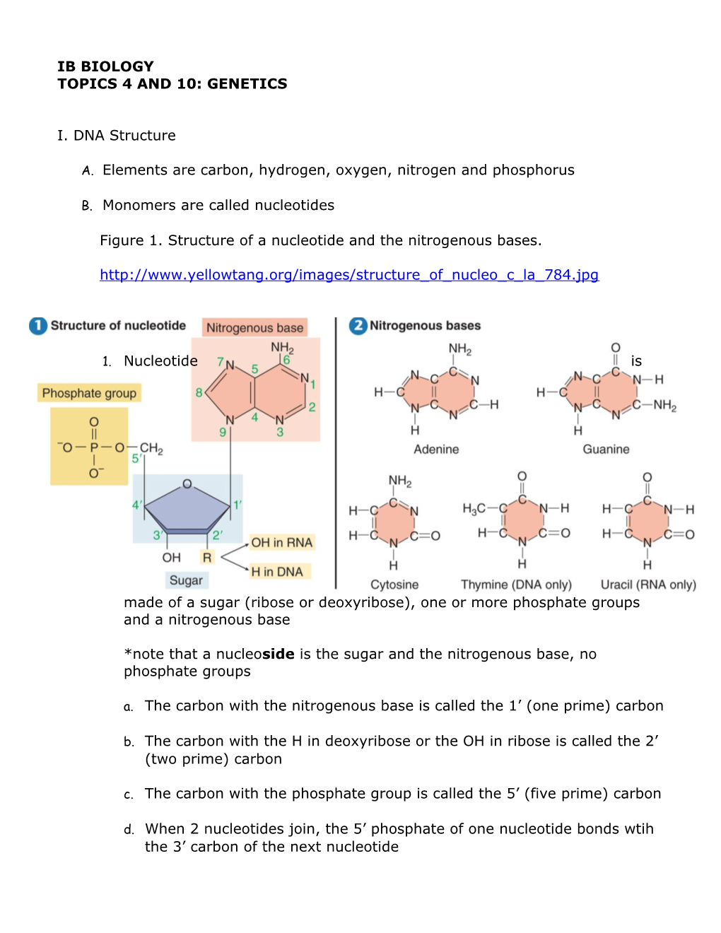 A. Elements Are Carbon, Hydrogen, Oxygen, Nitrogen and Phosphorus