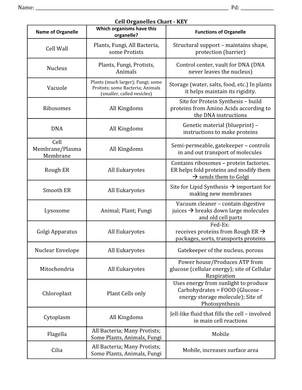 Cell Organelles Chart - KEY