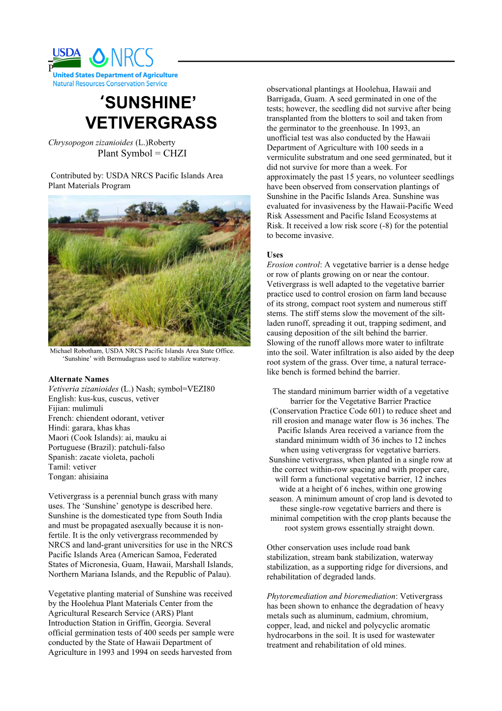 Vetivergrass Plant Guide