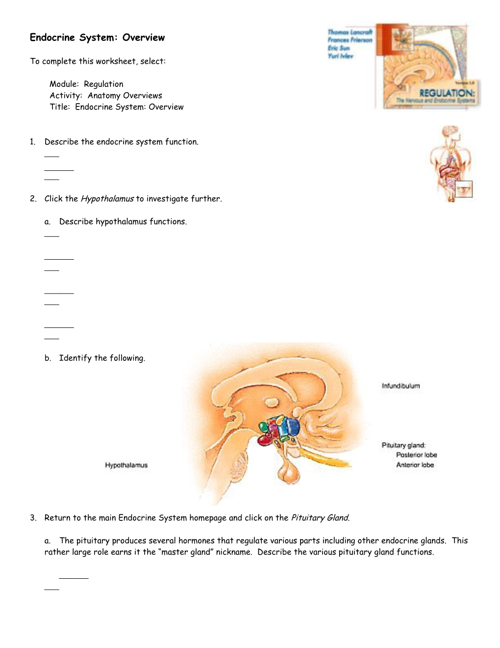 Endocrine System: Overview s3