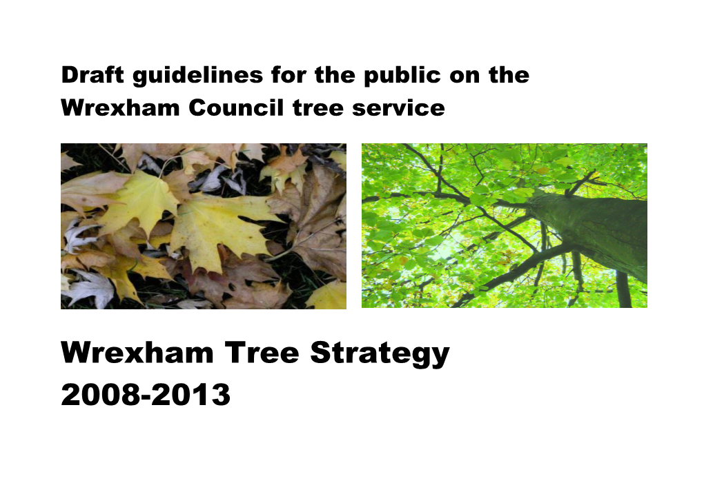 Wrexham Tree Strategy