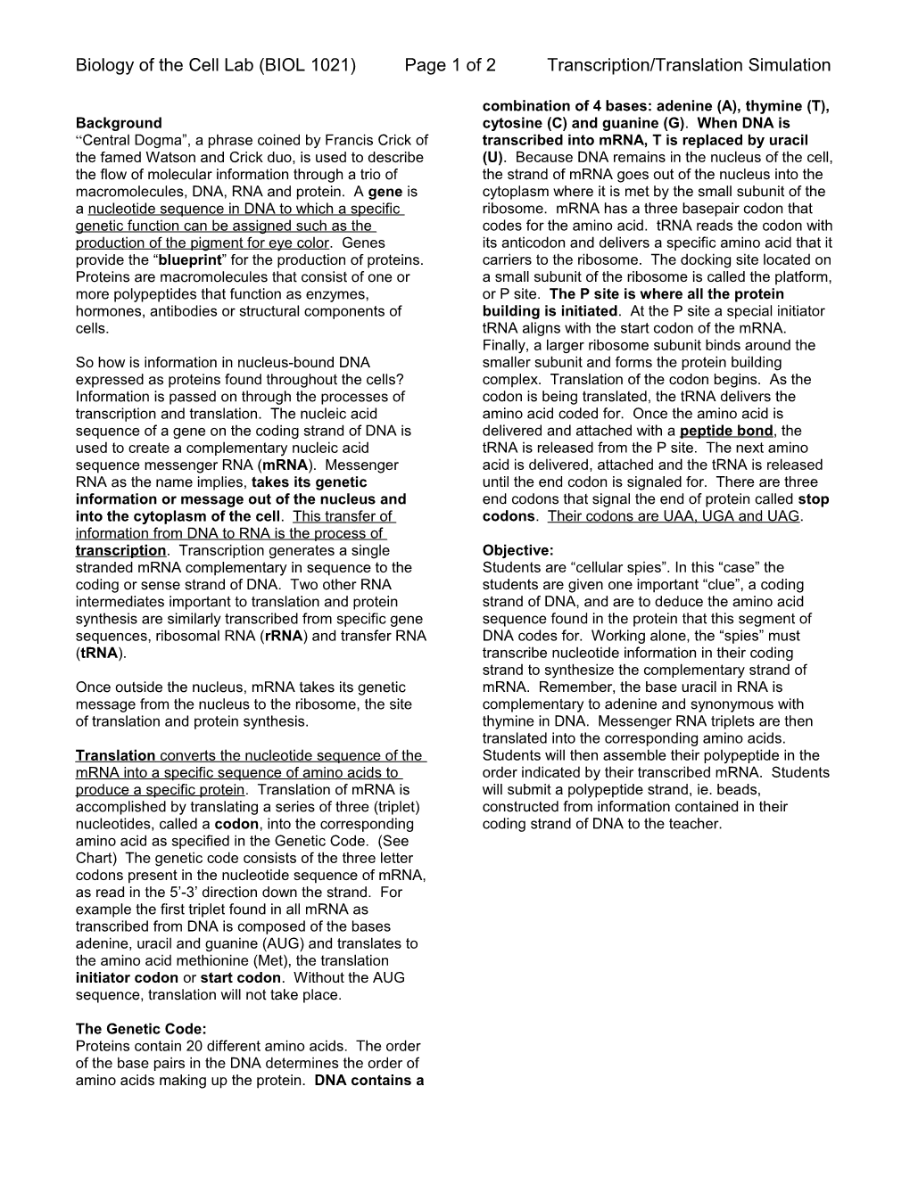 Lab 6 - Transcription & Translation Simulation